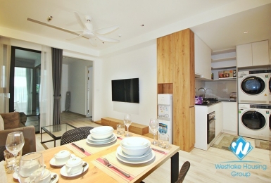 Brand new 2 bedrooms apartment for rent in Au Co st, Tay Ho